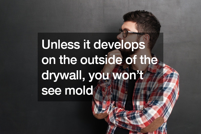 Help Your Family Breathe Better By Getting Rid of Any Mold In Your Home